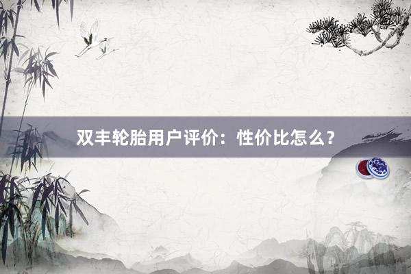 双丰轮胎用户评价：性价比怎么？